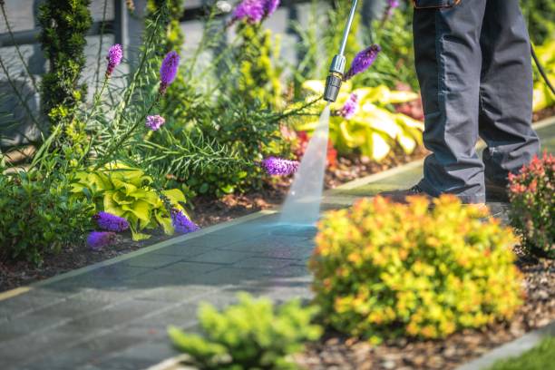 Winterizing Services in Morgan, GA